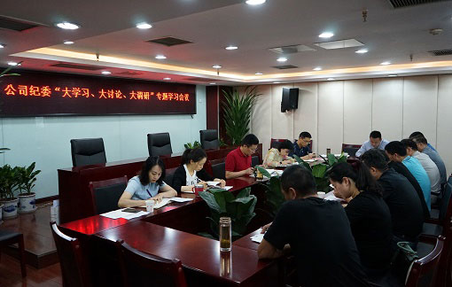 以“大學(xué)習(xí)、大討論、大調(diào)研”為動(dòng)力推動(dòng)公司紀(jì)檢監(jiān)察工作扎實(shí)開展