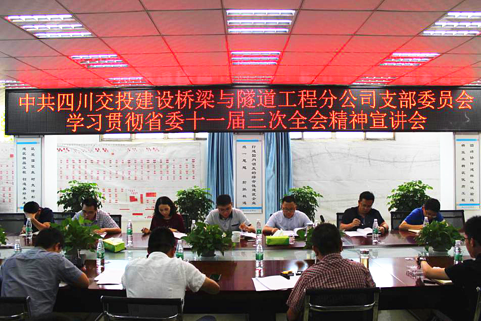 公司橋隧分公司黨支部開(kāi)展學(xué)習(xí)貫徹省委十一屆 三次全會(huì)精神宣講活動(dòng)
