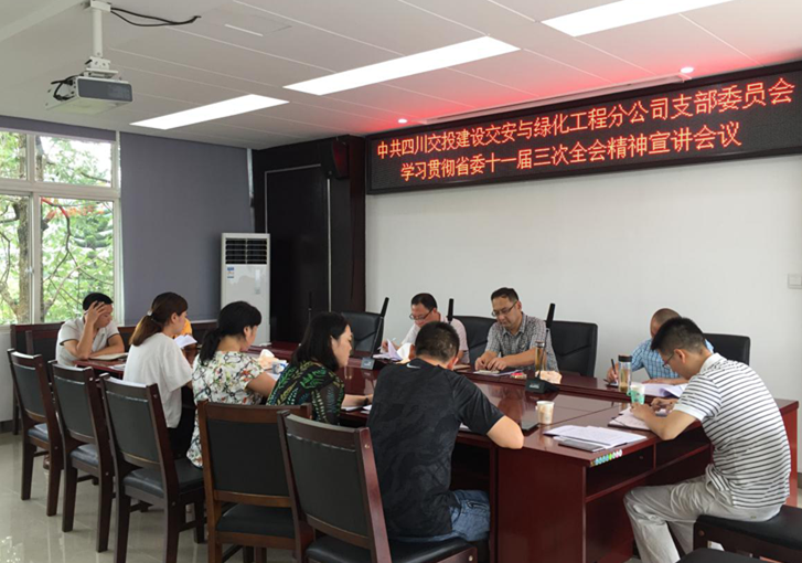 公司交綠分公司組織全體黨員召開學習貫徹省委十一屆三次全會精神專題宣講會